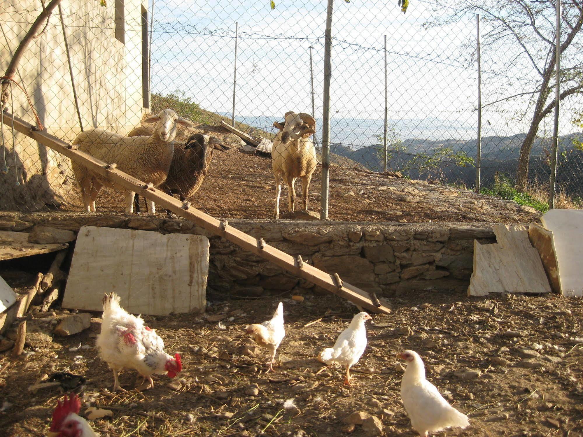 منزل الضيف Laroya  في Reul Alto Cortijos Rurales المظهر الخارجي الصورة