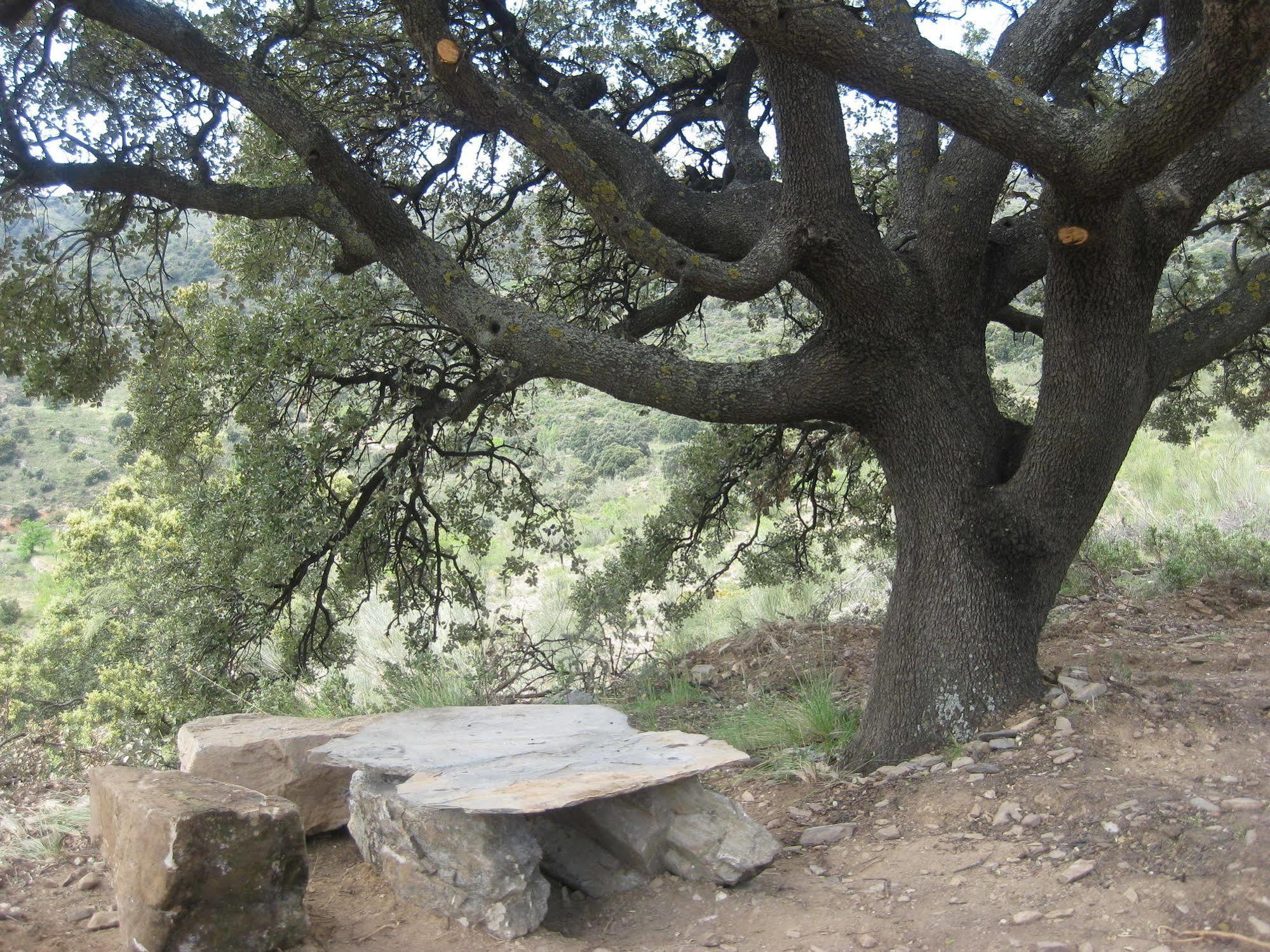 منزل الضيف Laroya  في Reul Alto Cortijos Rurales المظهر الخارجي الصورة